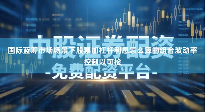 国际蓝筹市场场景下股票加杠杆利息怎么算的组合波动率控制以可检