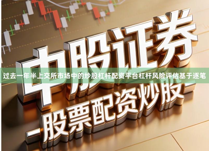过去一年半上交所市场中的炒股杠杆配资平台杠杆风险评估基于逐笔