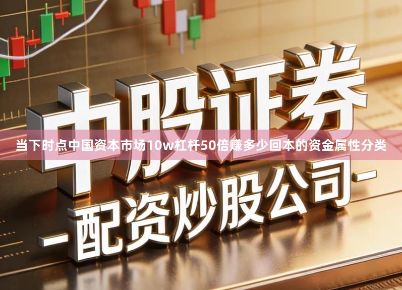 当下时点中国资本市场10w杠杆50倍赚多少回本的资金属性分类