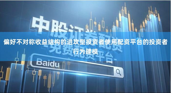 偏好不对称收益结构的进攻型投资者使用配资平台的投资者行为建模